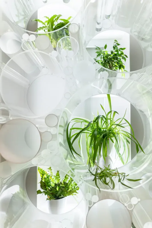 Raumteiler aus PLEXIGLAS®-Rohren und Stäben mit Pflanzen